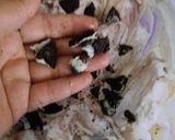 صورة لخطوة 13 من وصفة تشيز كيك مثلج بالاوريو جد سهل وسريع من أم أمير