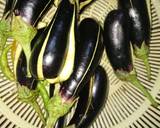 Egg plant like leg piece with potato recipe step 1 photo