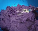Foto langkah ke 2 dari resep Bola ubi ungu coklat lumer.