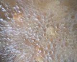 Gambar langkah 9 resipi Udang Masam Manis.