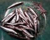Foto del paso 1 de la receta: Boquerones en vinagre de jerez
