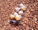 A picture of step 2 of No yeast puff puff.