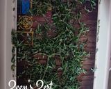 A picture of step 4 of Shade Dried Fresh Mixed Herbs.