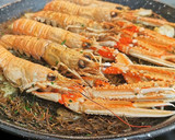 Foto del paso 7 de la receta: Fideuá Negra con Sepia y Cigalas