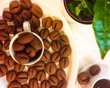 Foto del passaggio 7 della ricetta Biscottini chicco di caffè ☕