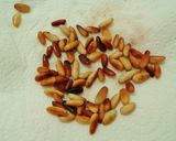 Foto del paso 6 de la receta: Anchoas fritas