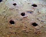 A picture of step 3 of Mix flour Thalipith.