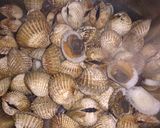 Foto langkah ke 1 dari resep Tumis kerang dara pedas.