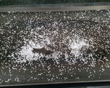 Foto del paso 3 de la receta Gambas de Sant Carles de la Ràpita en un plis plas