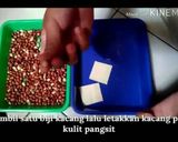 Foto langkah ke 4 dari resep Kaput(Kacang Petak Umpet).