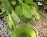 Une image de l'étape 5 de Glace menthe chocolat.