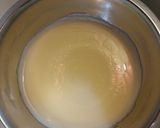 Foto del paso 8 de la receta: Sorbet con vino blanco