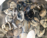 Foto del paso 4 de la receta: Acelgas con almejas y especias