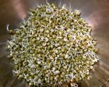 A picture of step 1 of Mung Bean Sprouts & Curd Kebab/ Ankurit Moong aur Dahi ke kebab.