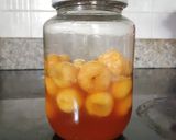 รูปขั้นตอนการทำที่ 8 ของ Acerola Cherry Enzyme Syrup น้ำเชื่อมหมักเชอร์รี่ออสซี่ในสวนไทย