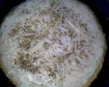 Foto del paso 6 de la receta: Pizza
