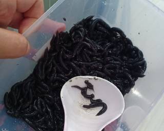 Cendol dawet ireng - Step 3