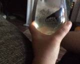 Mango Gin & Tonic recipe step 2 photo