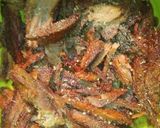 Foto del paso 1 de la receta: Pescado salado frito