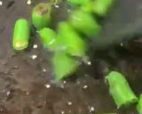 A picture of step 1 of Fried green chillies.
