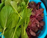 Foto langkah ke 1 dari resep Tumis Sawi & Bayam Merah.
