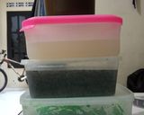 Foto langkah ke 5 dari resep Nyetok for Cemilan.