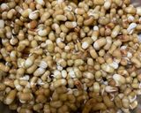 A picture of step 1 of Matki sprout Pulao.