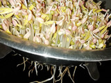 ચટપટા મગ(chatpata moong recipe in gujarati)