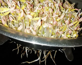 ચટપટા મગ(chatpata moong recipe in gujarati) રેસીપી સ્ટેપ2ફોટો