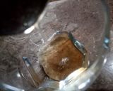 A picture of step 2 of Ginger Ale.