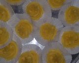 Foto langkah ke 2 dari resep Choux pastry #kisahkasihcookpad.