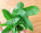 Hình bước làm 1 của món 🌱 Cocktail Mojito Dâu Tây
