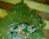 A picture of step 5 of Stuffed Grape Leaves (My Way).