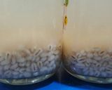 Foto langkah ke 6 dari resep Barley Drink.