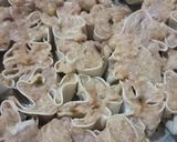 Foto langkah ke 5 dari resep 1189. Dimsum Mentai.