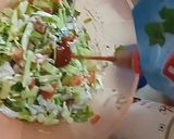 मेयोनेज़ सलाद (Mayonnaise Salad recipe in Hindi) रेसिपी चरण 2 फोटो