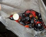 Foto del paso 9 de la receta: Cubos de papa a la mostaza con pollo y morrones asados (receta incluida)