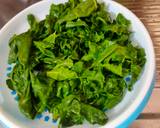 Palakh paneer recipe step 1 photo