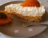 Sárgabarackos sütés nélküli torta Katától recept fázis 4 fotója