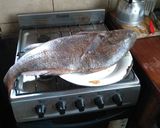Foto del paso 1 de la receta: Corvina negrita con chimichurri y limón al horno