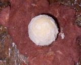A picture of step 3 of Scotch egg.