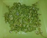 Foto langkah ke 1 dari resep Botok lamtoro telur jamur.