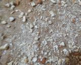 तिल मावा रोल(Til mawa roll recipe in Hindi) रेसिपी चरण 8 फोटो