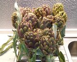 Foto del passaggio 1 della ricetta Timballo di Carciofi Siciliani Bio