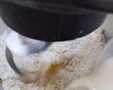 Foto langkah ke 3 dari resep Bakpao Labu Kuning Isi Kacang Hijau.