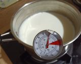 Foto langkah ke 2 dari resep Plain Yogurt Homemade.
