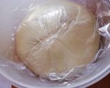 Foto del passaggio 4 della ricetta Bao, Baozi (panini al vapore) con ripieno di carne