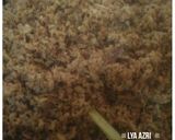 Foto langkah ke 10 dari resep Abon ikan home made.