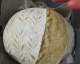 Foto langkah ke 6 dari resep One Day Sourdough Loaf with Cold Starter.