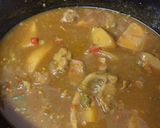 A picture of step 5 of Spicy Lamb Stew.